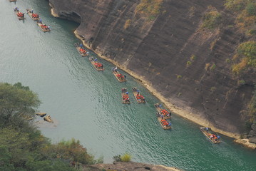 送你两本关于植物的书