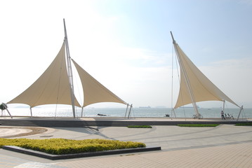 送你两本关于植物的书