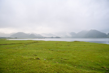 送你两本关于植物的书