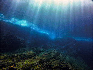 送你两本关于植物的书