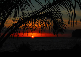 学点养生小知识