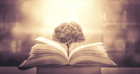 狐狸英文怎么读