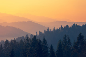 看看我们的地球好词好句摘抄