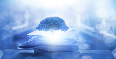 一个活血化瘀的千古名方