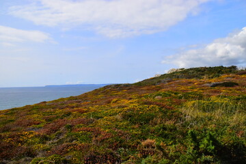 看看我们的地球好词好句摘抄