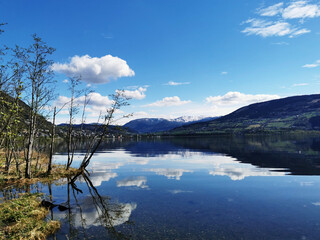 学点养生小知识