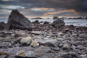 关于专注成功的事例