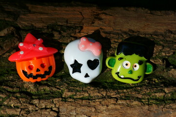 看看我们的地球好词好句摘抄