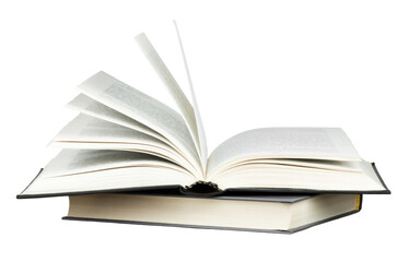 狐狸英文怎么读