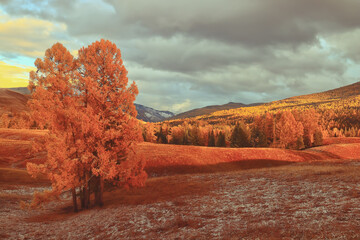 关于美术教学理论的书籍或杂志