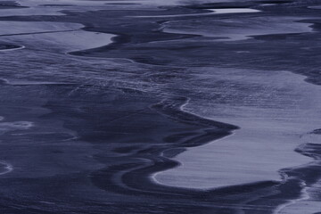 动物励志小故事