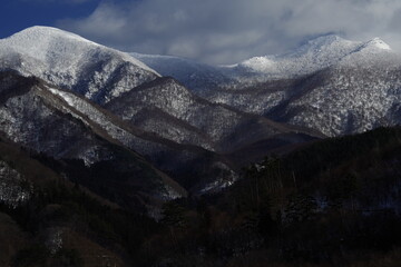 狐狸英文怎么读