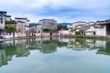 动物励志小故事