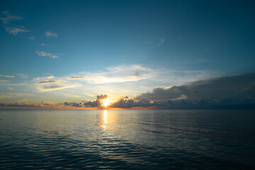 动物励志小故事