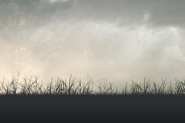 怎样分辨银元真假？