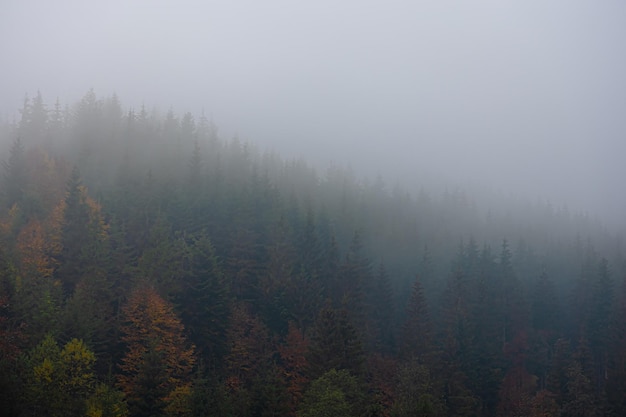 科普讲解大赛主题名称大全