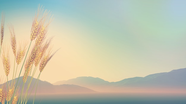 尺码X L XL XXL具体都是多大的