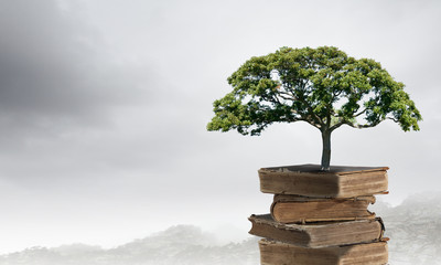 动物励志小故事