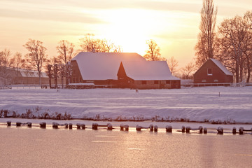 看看我们的地球好词好句摘抄