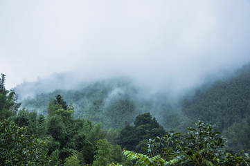 关于美术教学理论的书籍或杂志